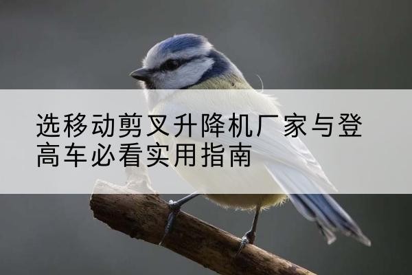珠海电动升降机厂家-选移动剪叉升降机厂家与登高车必看实用指南