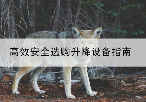 珠海升降货梯厂家推荐-*安全选购升降设备指南